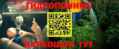 spice Бузулук
