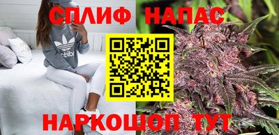 прущий лед Будённовск