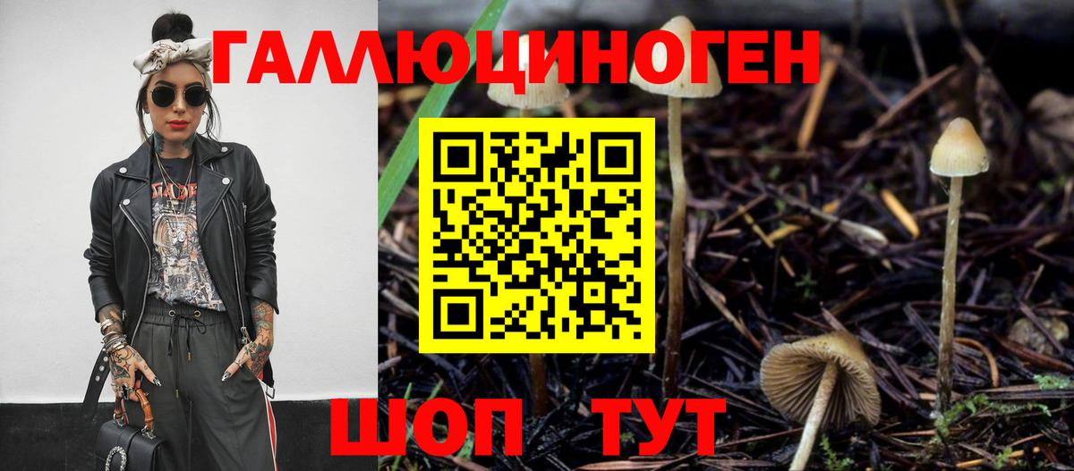 Галлюциногенные грибы Cubensis  Вход с VPN  Псилоцибиновые грибы GOLDEN TEACHER  Сергиев Посад 